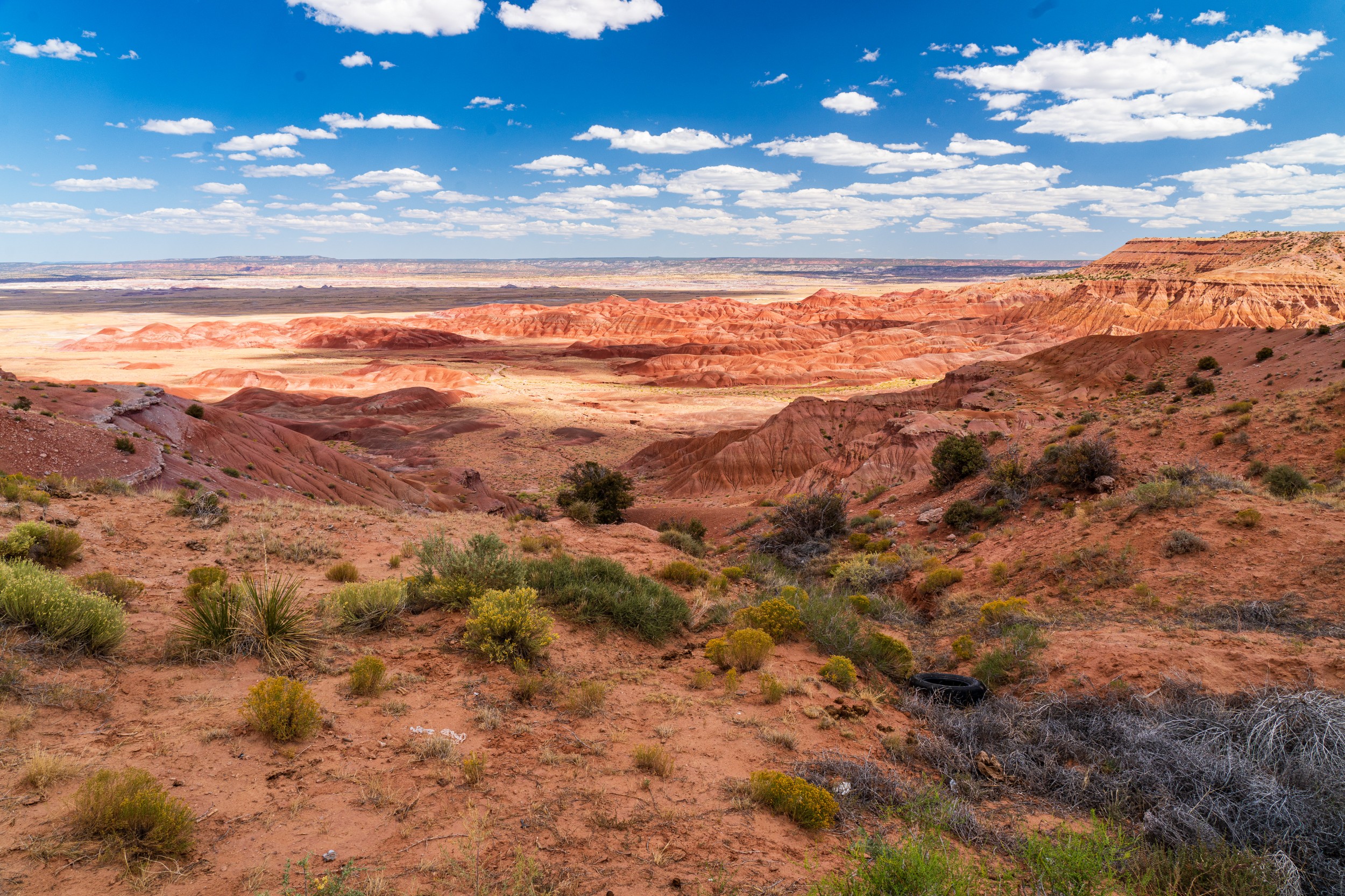 USA 2024 5 Sterne 79